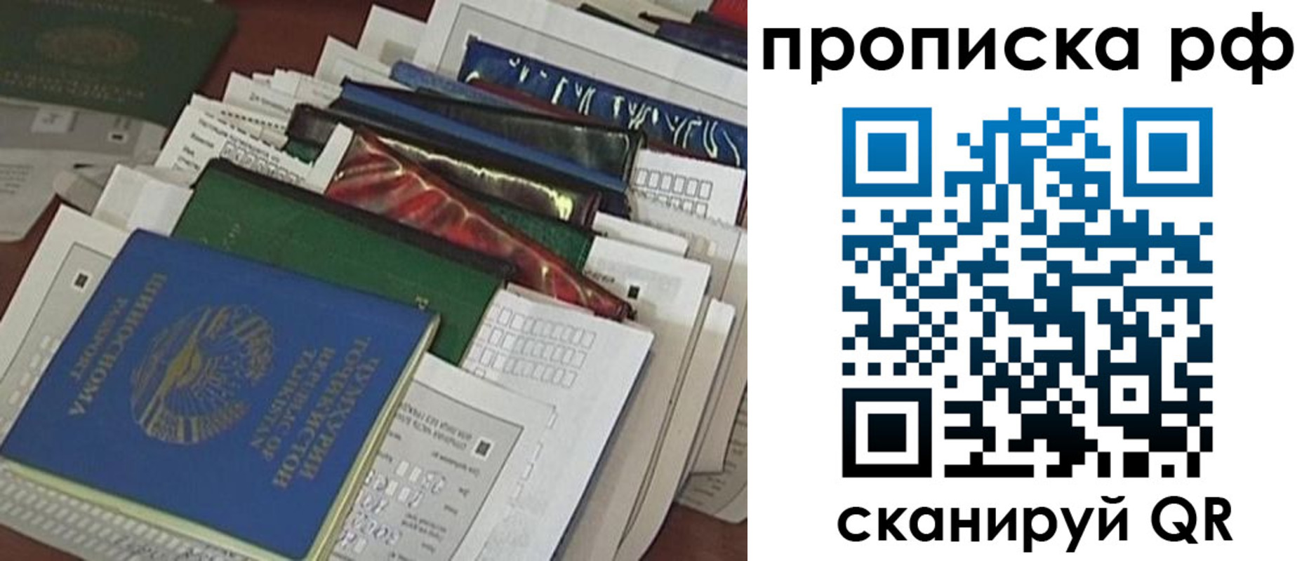 прописка в Сураже